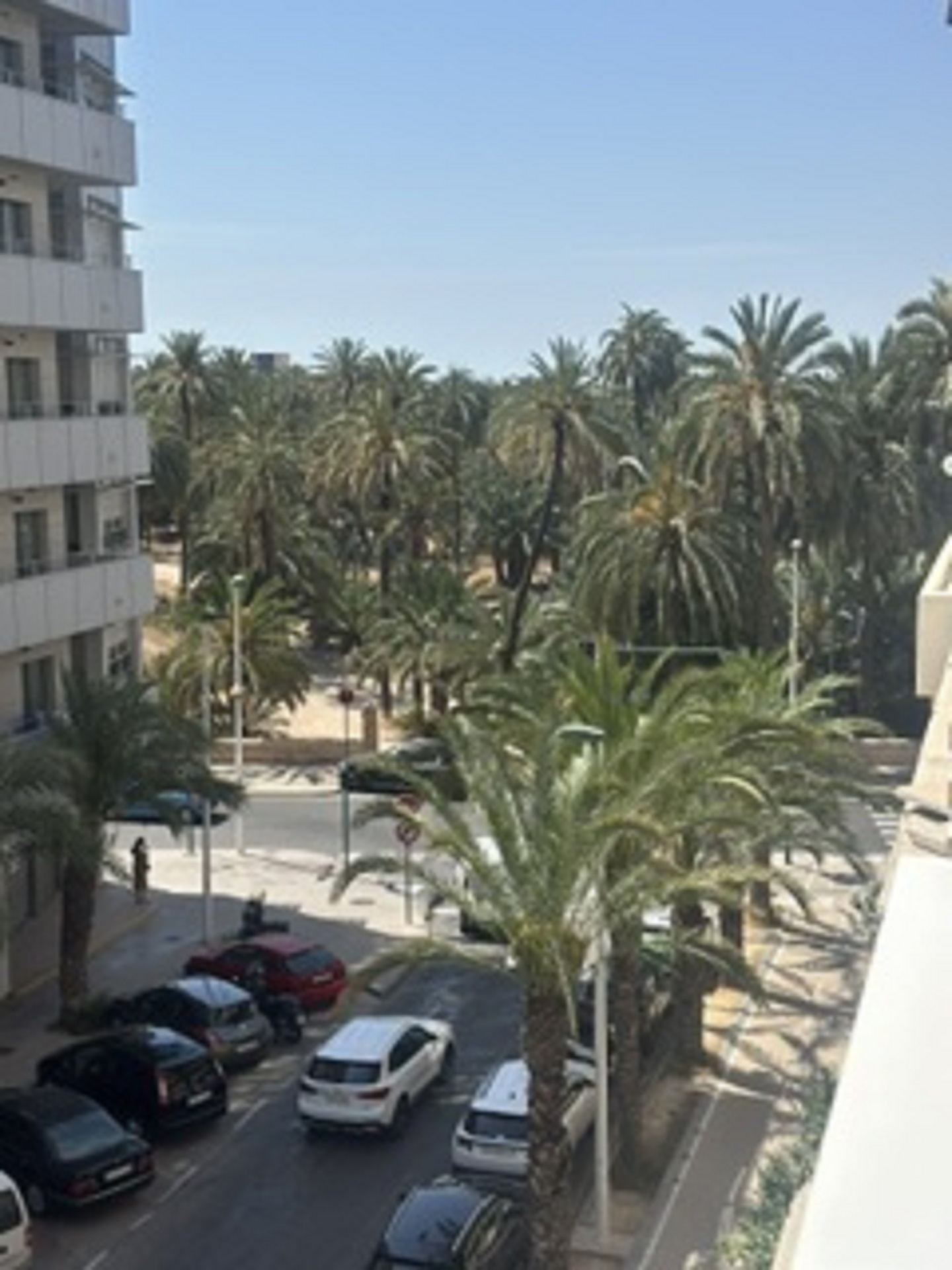 ZONA JESUITINAS – ELCHE (563780)